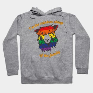 I'm The Rainbow Sheep Of The Family Hoodie